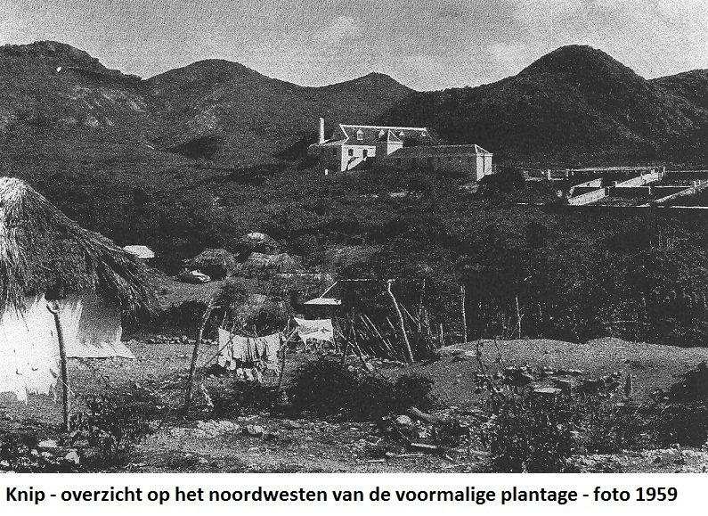 04. Knip overzicht voormalige plantage 1959